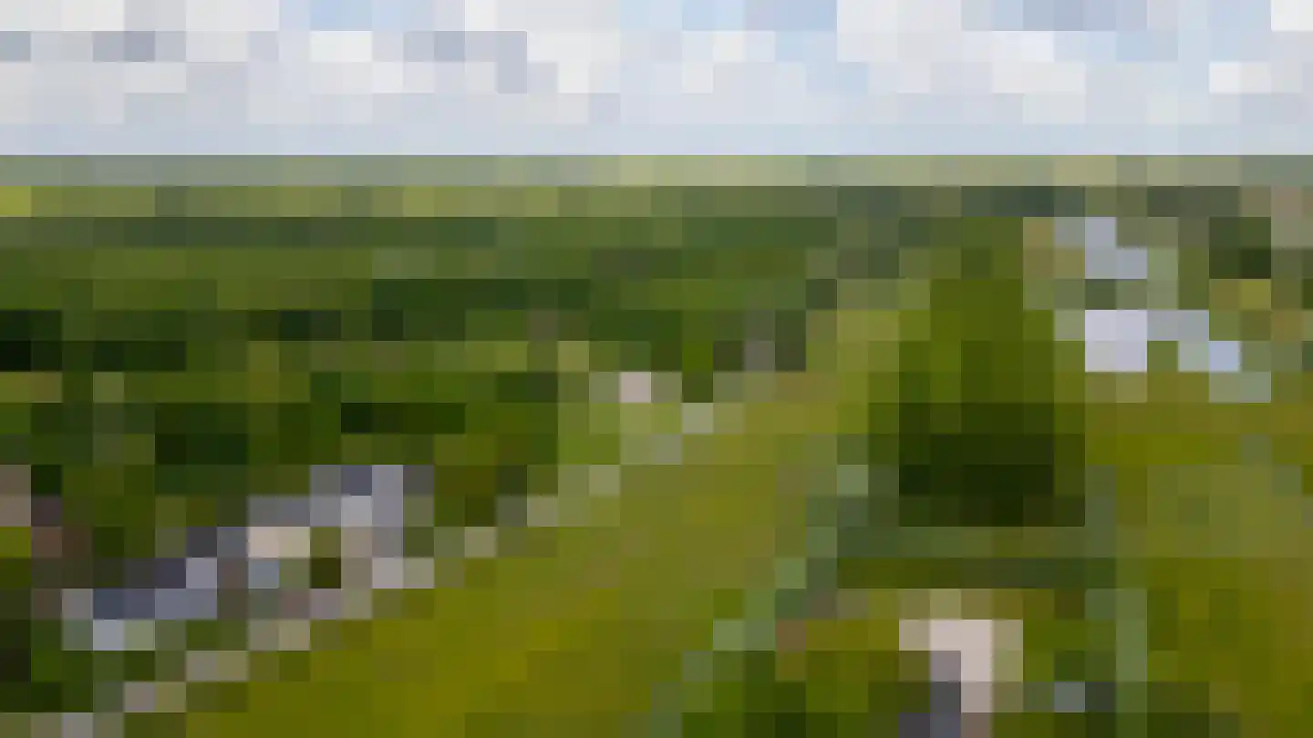 St.-Anthoniedijk 107 Utrecht thumbnail 54
