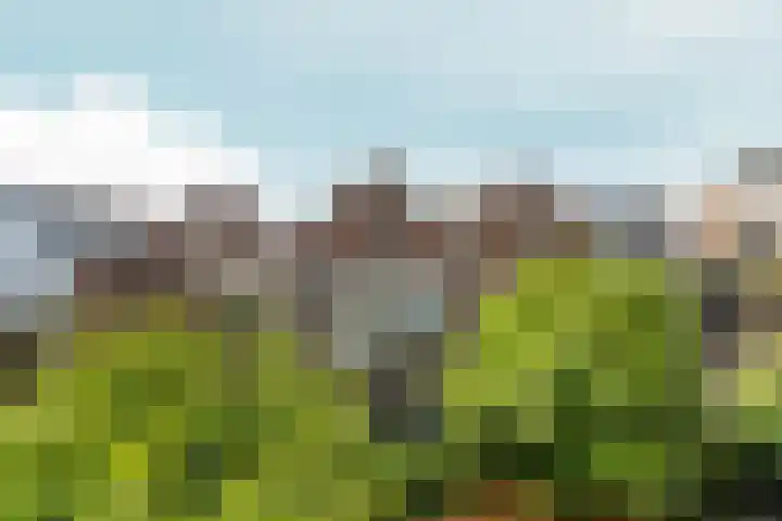 St. Antonielaan 217 Arnhem thumbnail 22