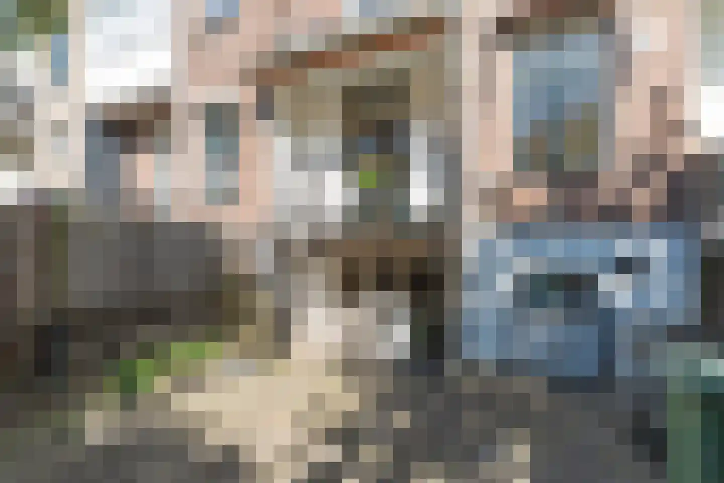 St. Antonielaan 223 1 Arnhem thumbnail 37