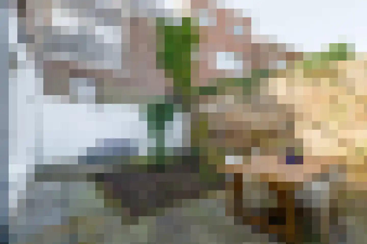 St. Antonielaan 24 Arnhem thumbnail 24