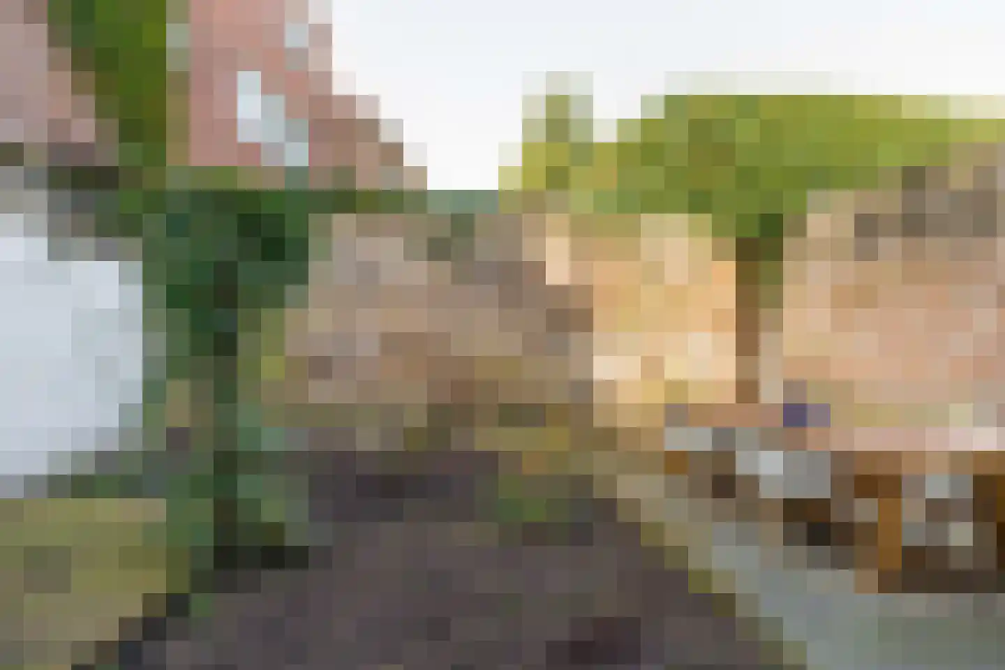 St. Antonielaan 24 Arnhem thumbnail 27