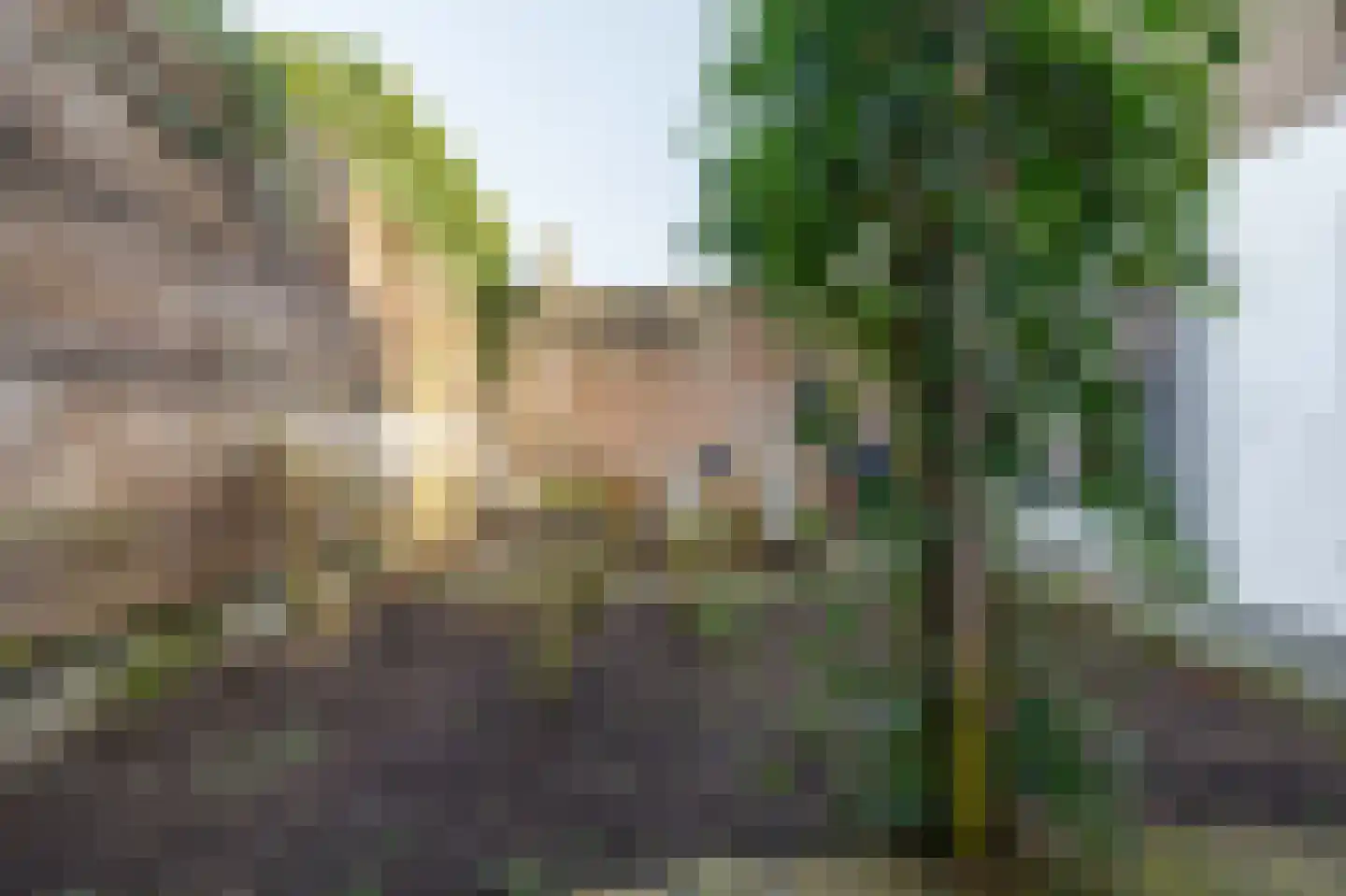 St. Antonielaan 24 Arnhem thumbnail 35
