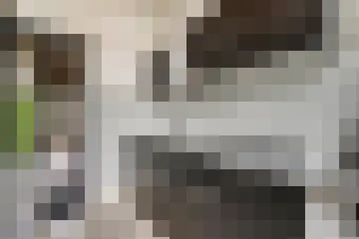 St. Antonielaan 278 Arnhem thumbnail 15