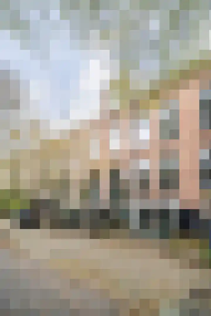 St. Antonielaan 286 Arnhem thumbnail 32