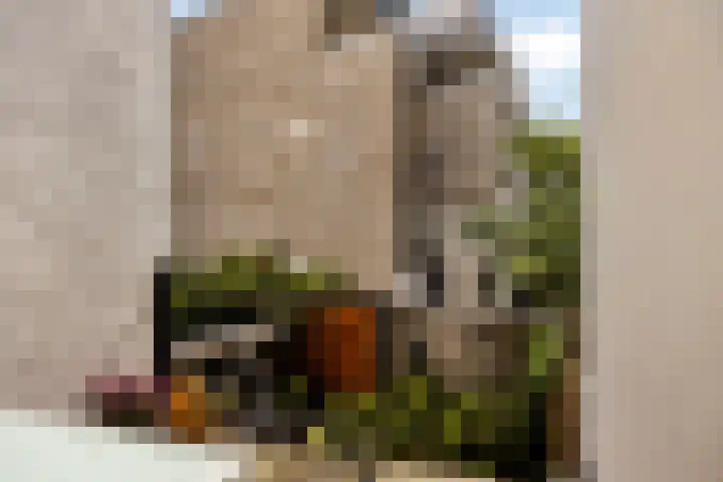 St. Antonielaan 87 Arnhem thumbnail 14