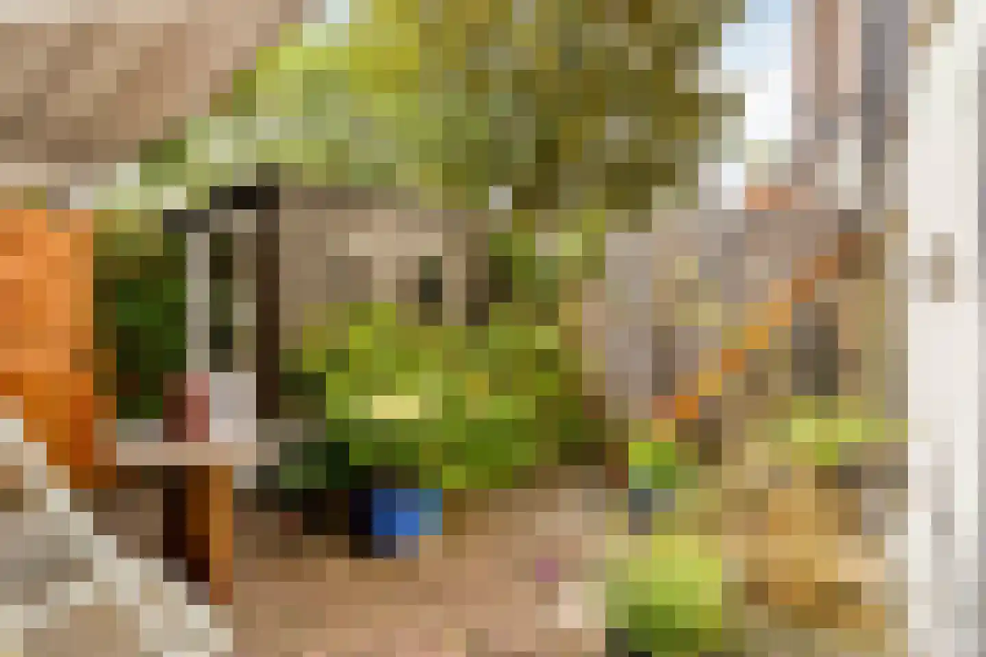 St. Antonielaan 87 Arnhem thumbnail 33