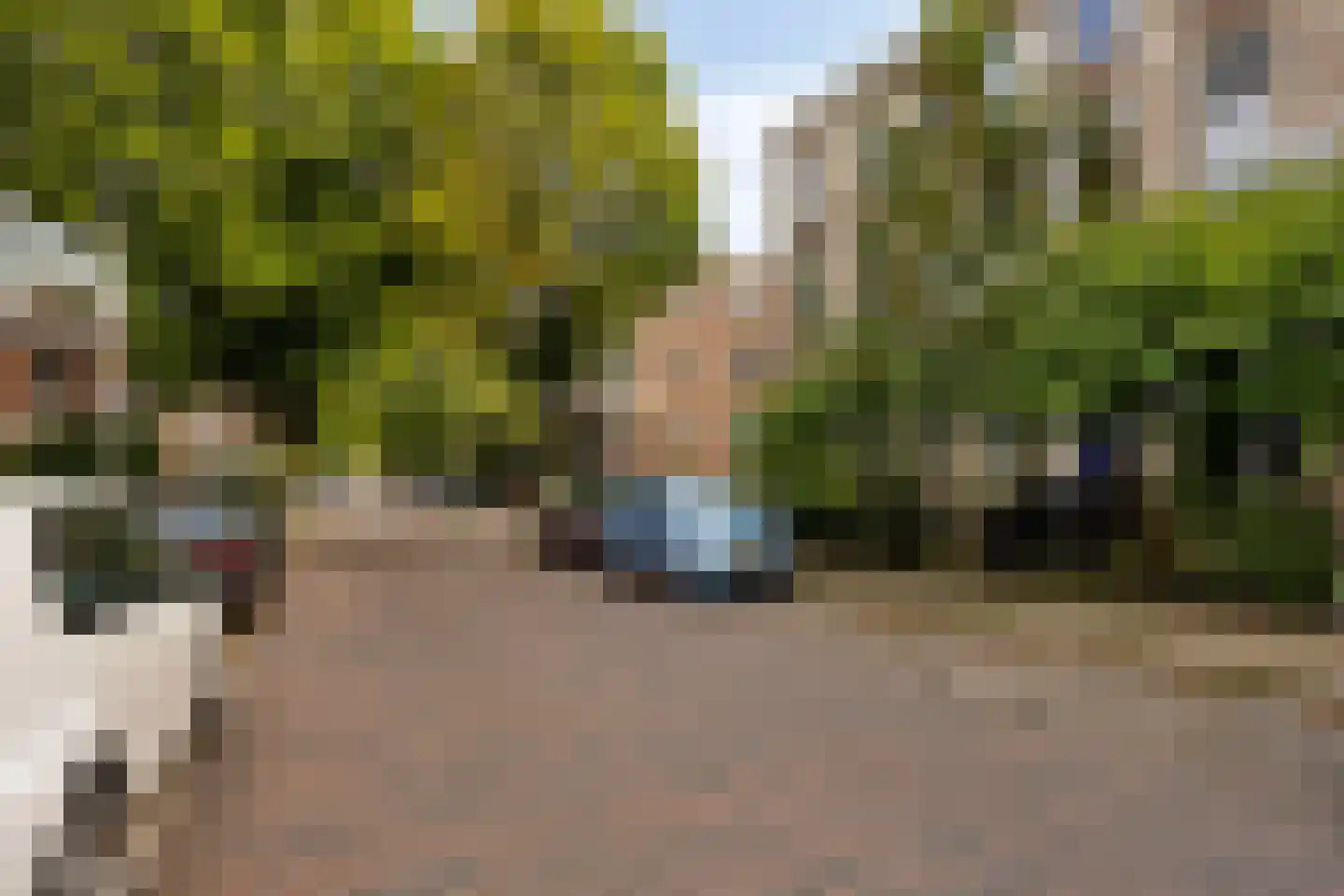 St. Antonielaan 87 Arnhem thumbnail 40