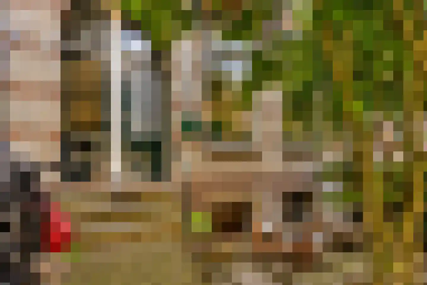 St. Antonielaan 87 Arnhem thumbnail 6