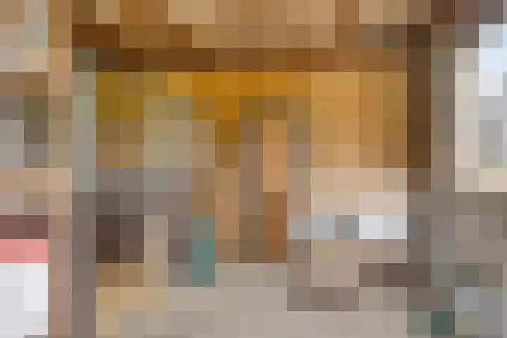 St. Antoniestraat 8 Tuil thumbnail 33