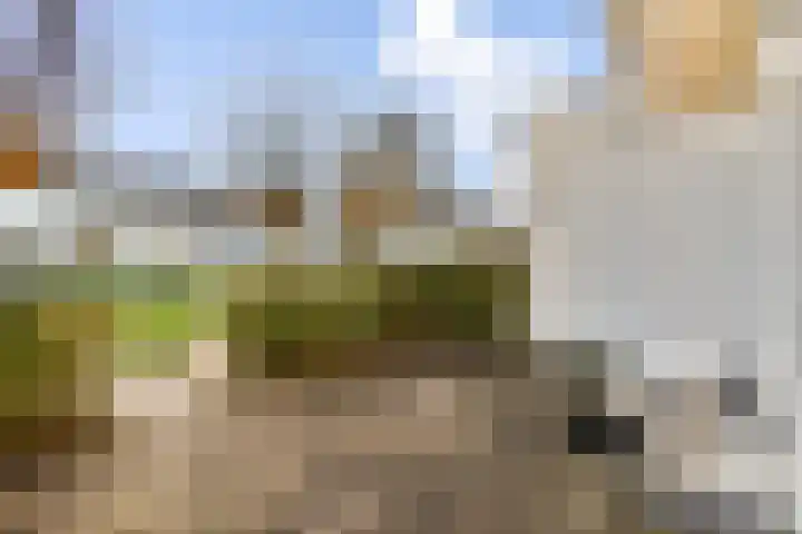 St. Antoniuslaan 20 Sassenheim thumbnail 10