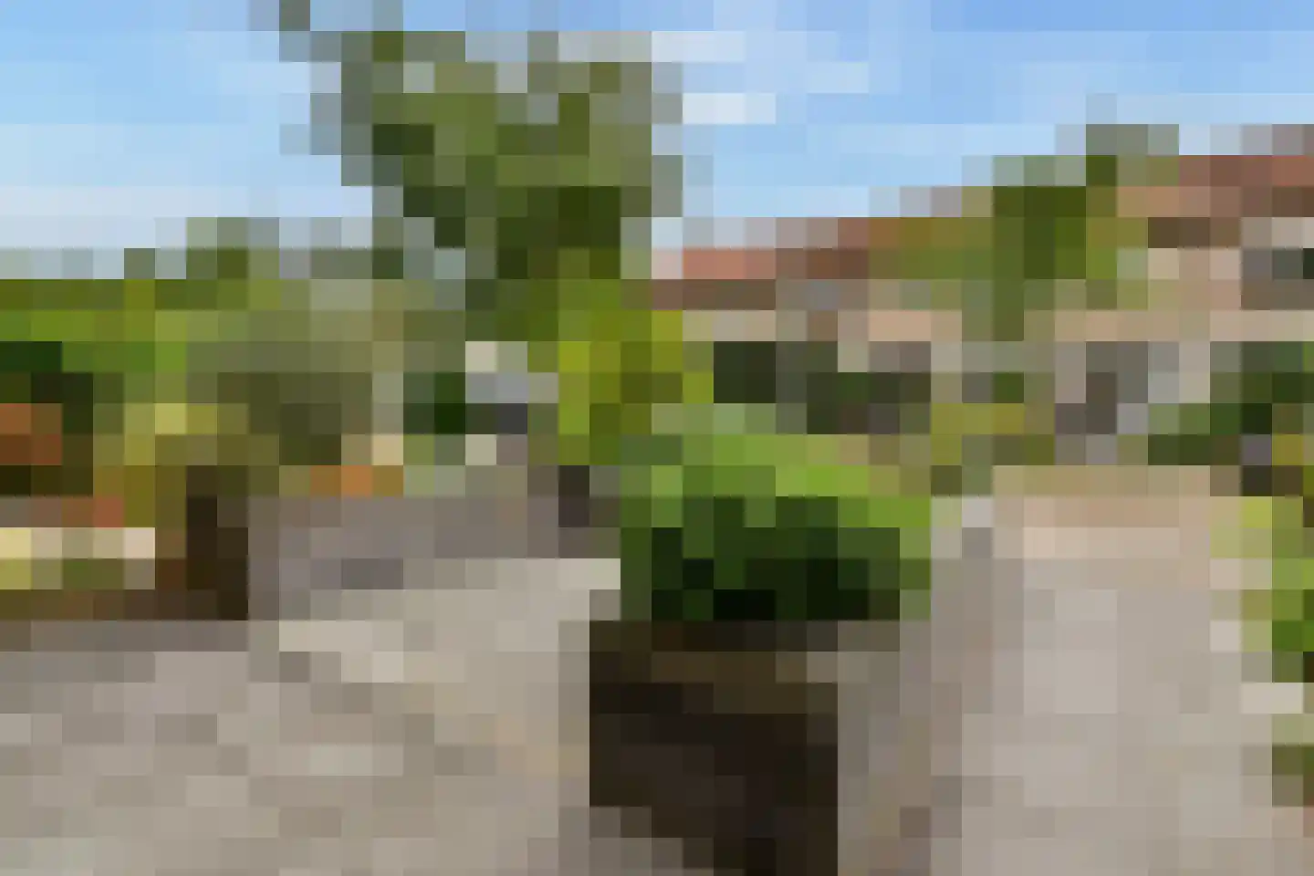 St. Antoniuslaan 25 Sassenheim thumbnail 4