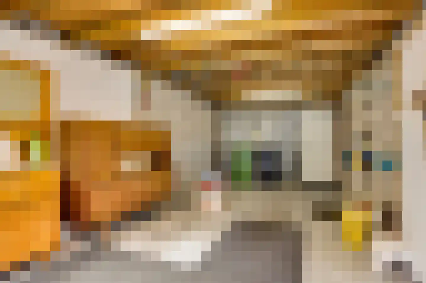 St. Antoniusplein 16 Nederweert thumbnail 20