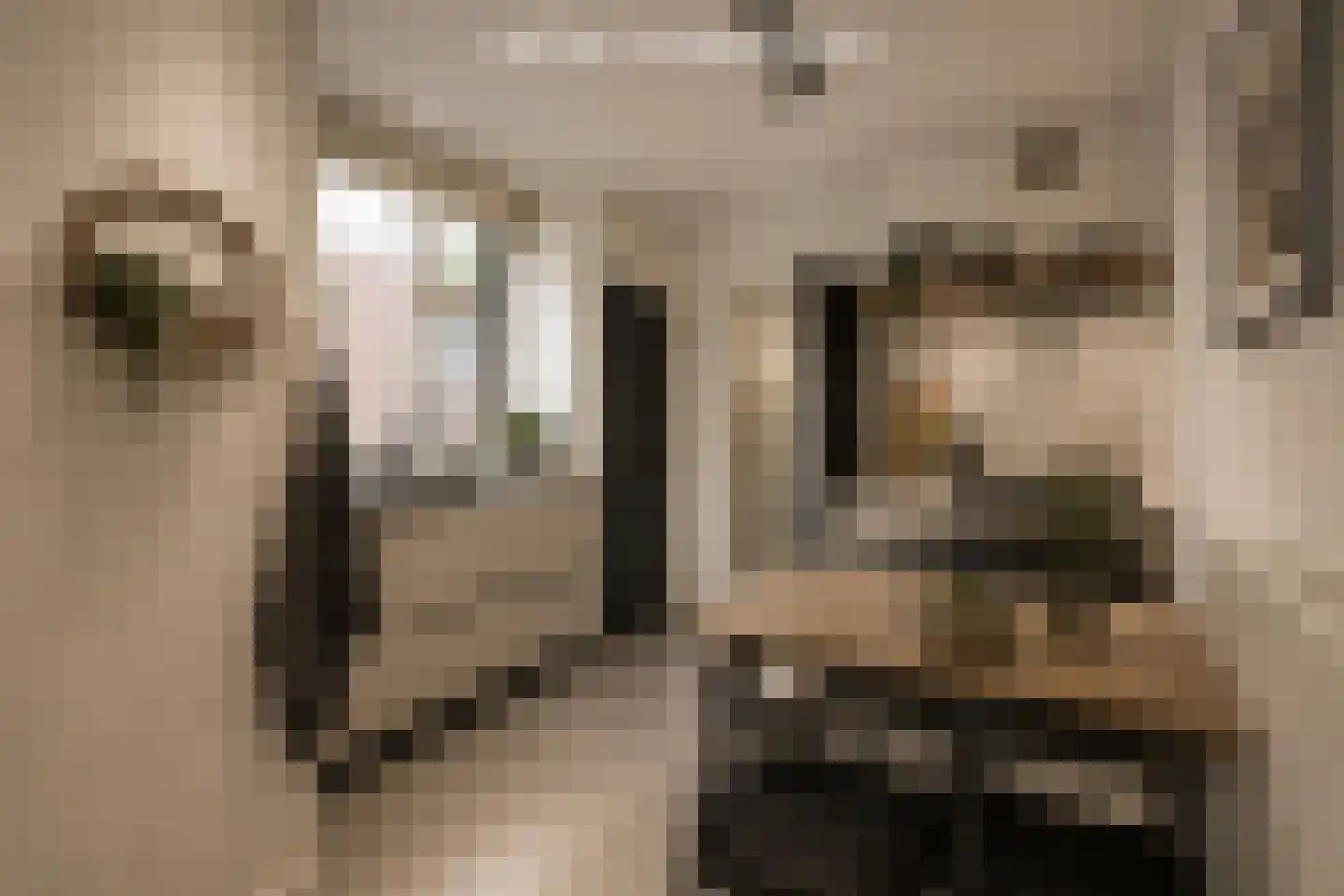 St. Antoniusstraat 19 h Waalwijk thumbnail 18