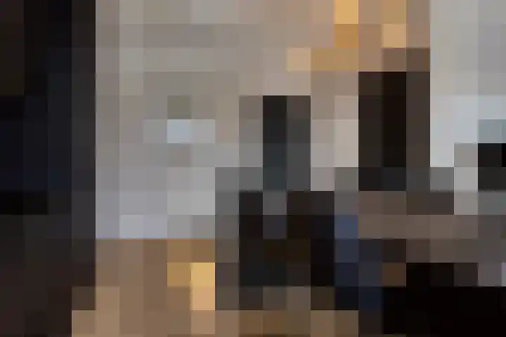 St Antoniusstraat 22 Eindhoven thumbnail 10
