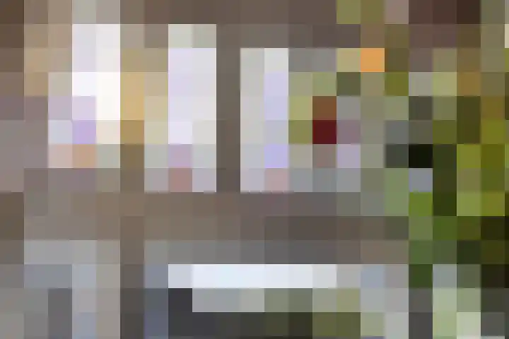St Antoniusstraat 22 Eindhoven thumbnail 12