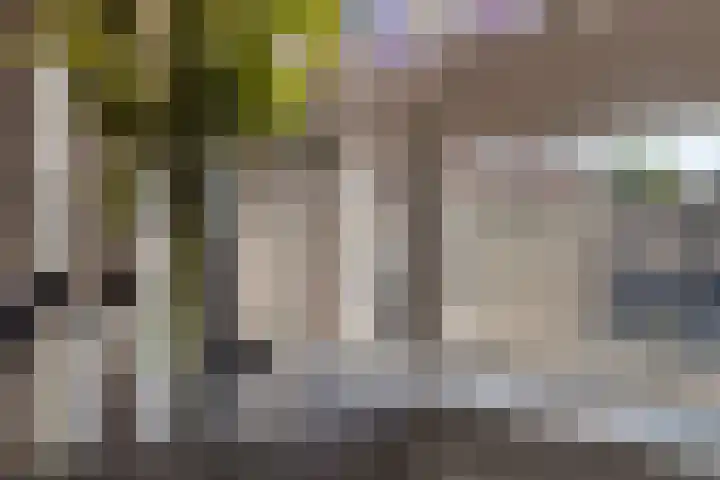 St Antoniusstraat 22 Eindhoven thumbnail 13