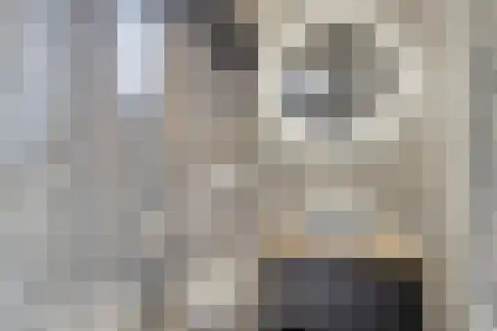 St Antoniusstraat 22 Eindhoven thumbnail 17