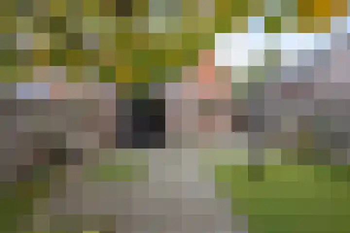 St. Antoniusstraat 29 Valkenswaard thumbnail 29