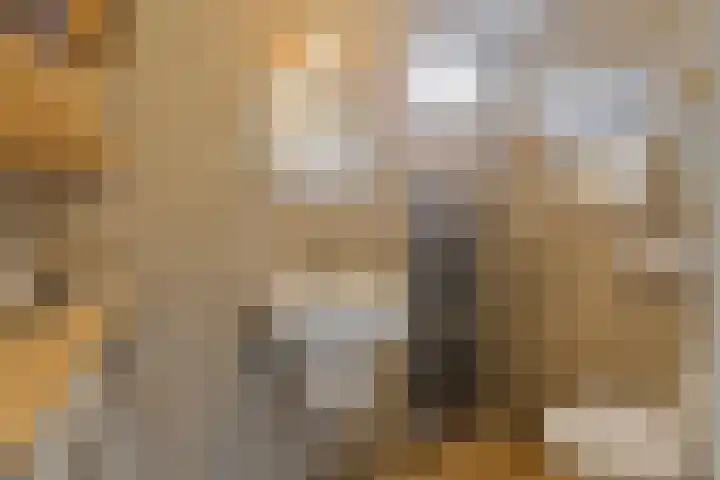 St. Antoniusstraat 38 Mook thumbnail 24