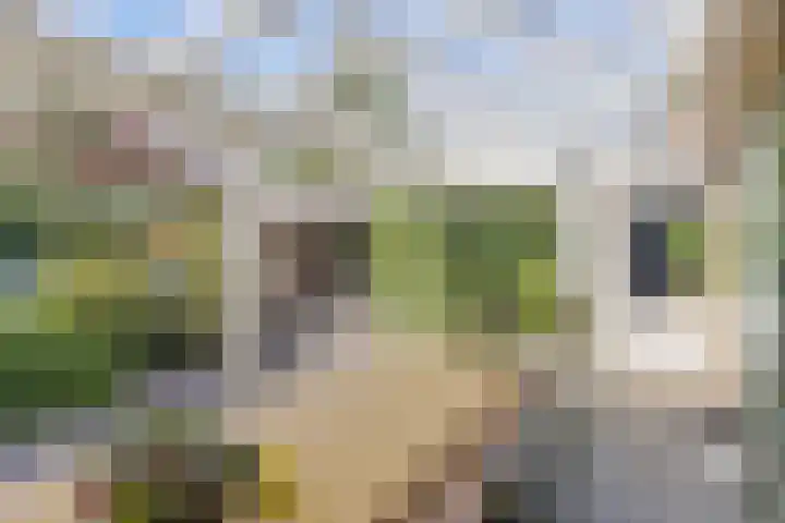 St. Antoniusstraat 38 Mook thumbnail 32