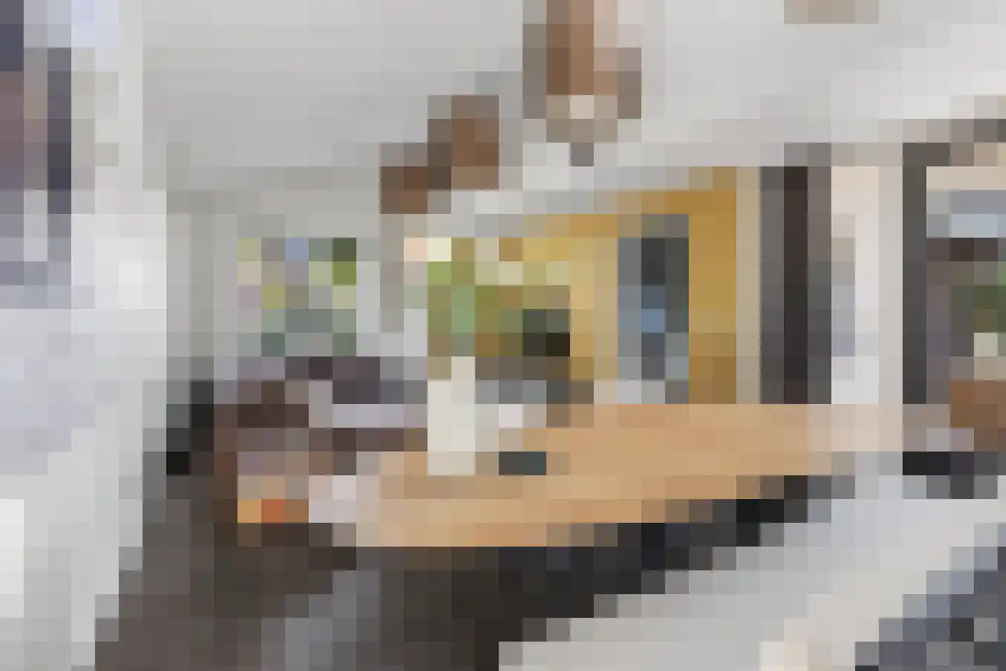St. Antoniusstraat 43 Valkenswaard thumbnail 25
