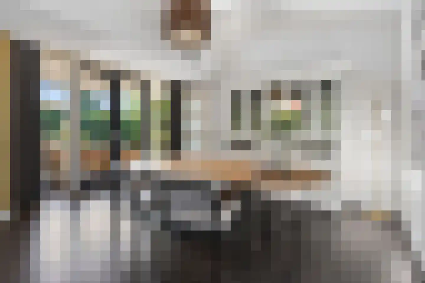 St. Antoniusstraat 43 Valkenswaard thumbnail 27