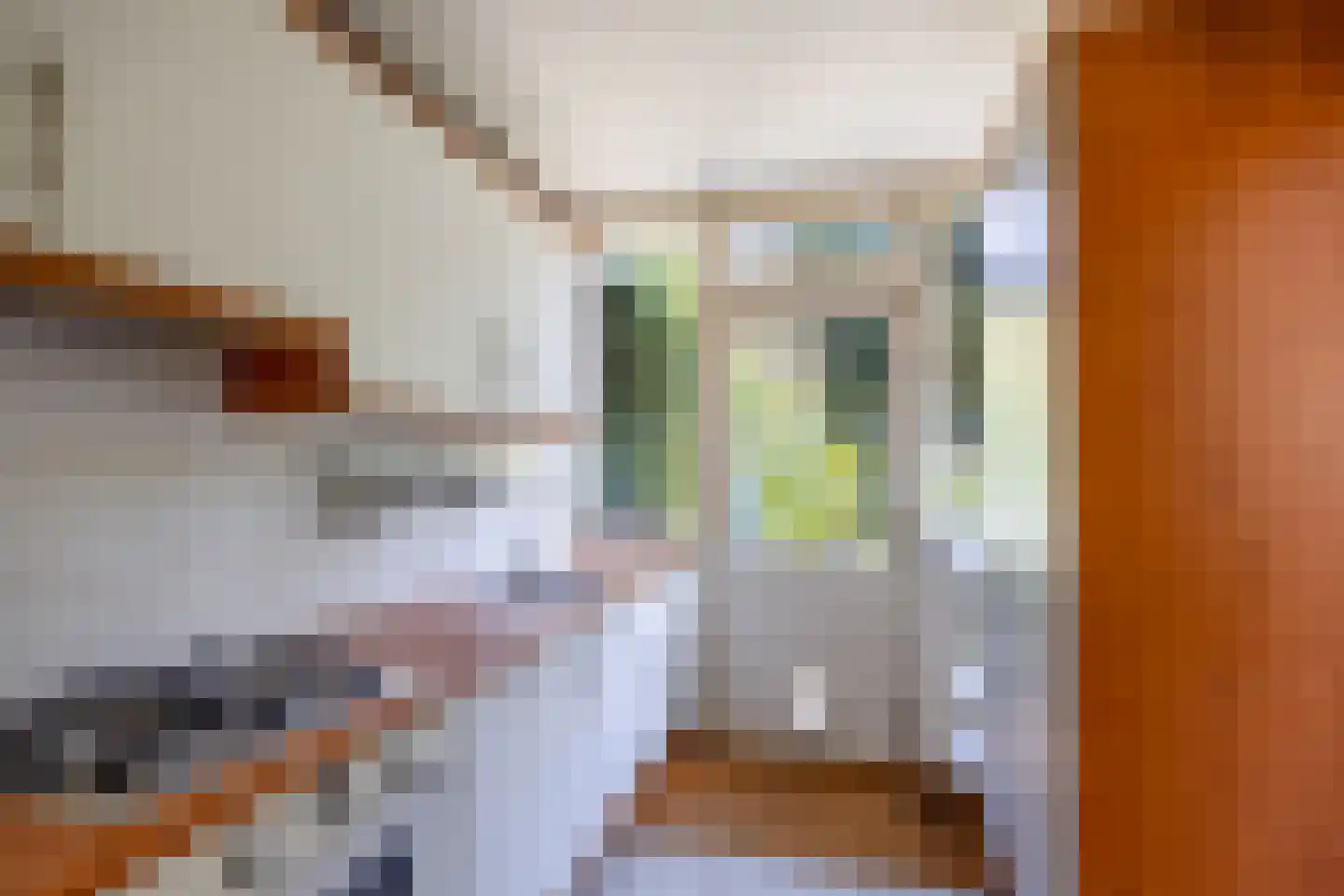 St. Antoniusstraat 51 Mook thumbnail 12