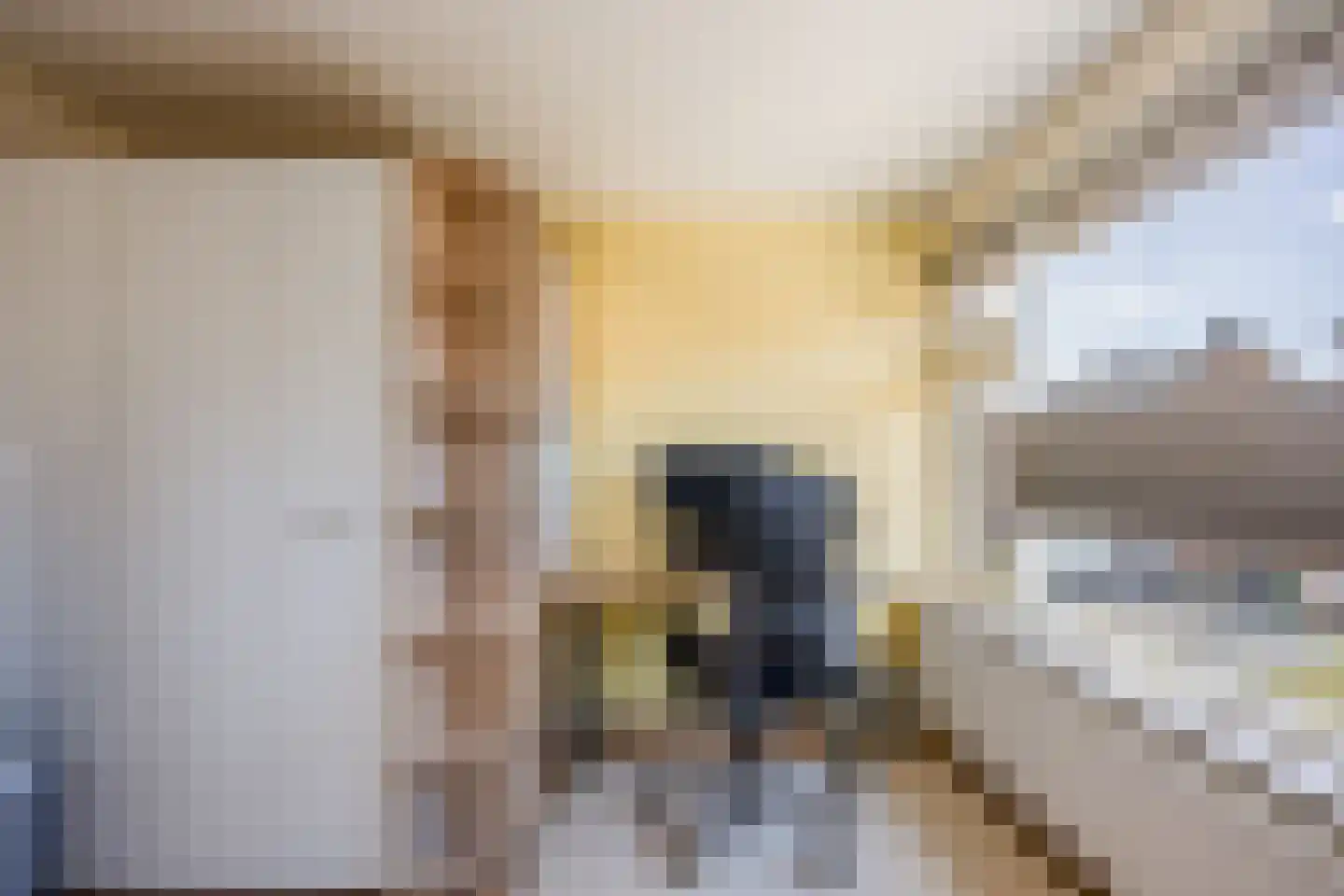 St. Antoniusstraat 51 Mook thumbnail 25