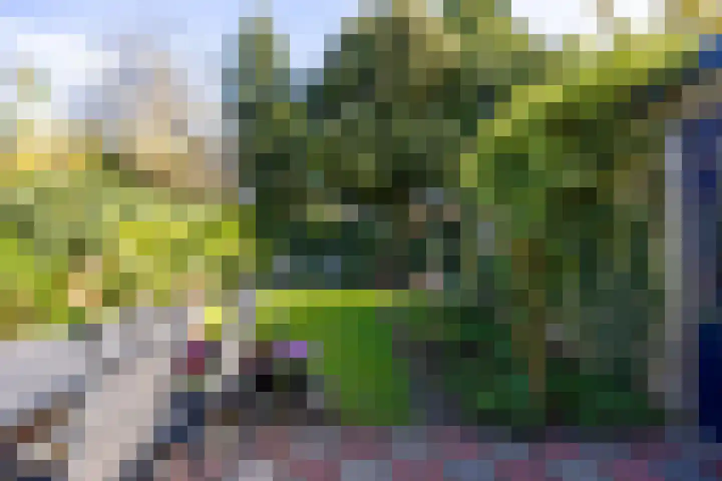 St. Antoniusstraat 51 Mook thumbnail 32