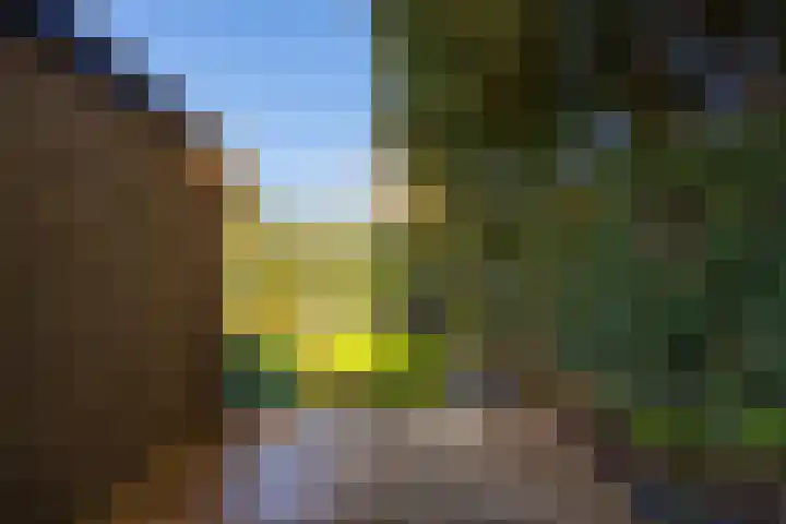 St. Antoniusstraat 51 Mook thumbnail 35