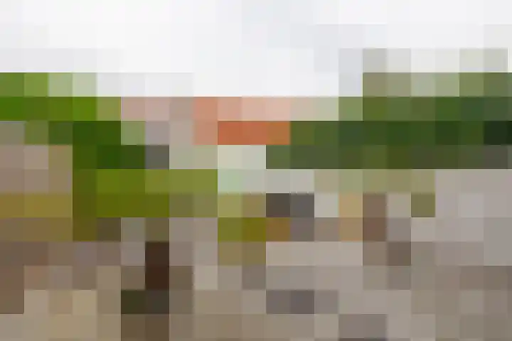 St. Antoniusstraat 61 Waalwijk thumbnail 20