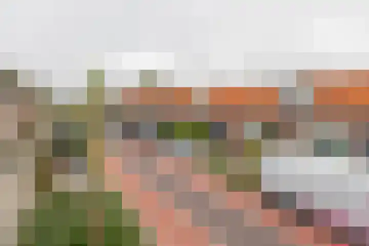 St. Antoniusstraat 61 Waalwijk thumbnail 26