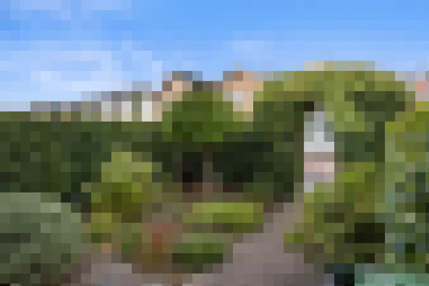 St. Antoniusstraat 71 Waalwijk thumbnail 34