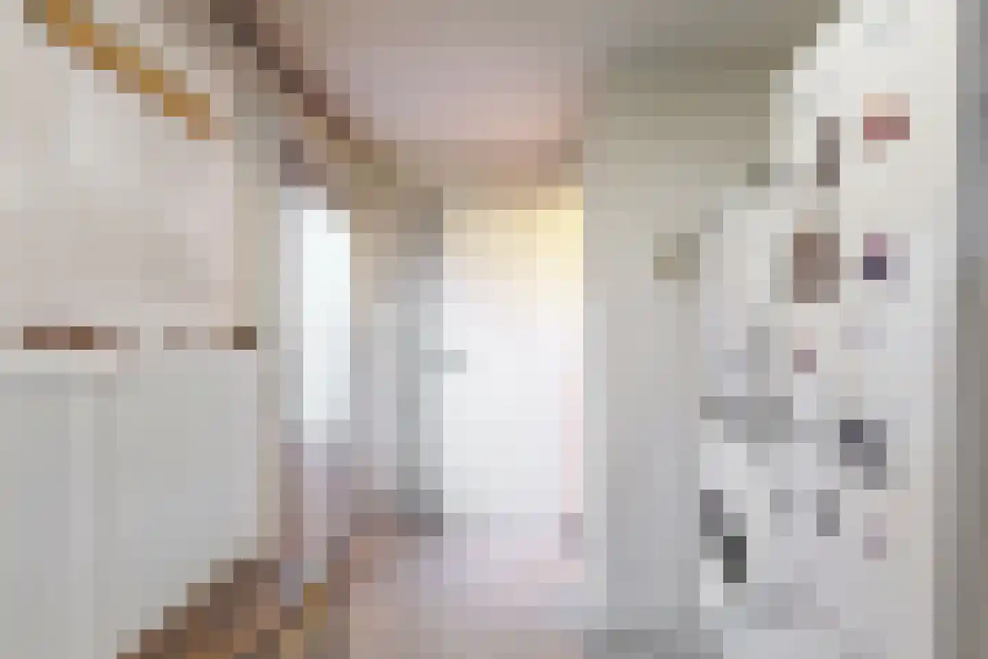 St.Antoniusstraat 8 Vlodrop thumbnail 15