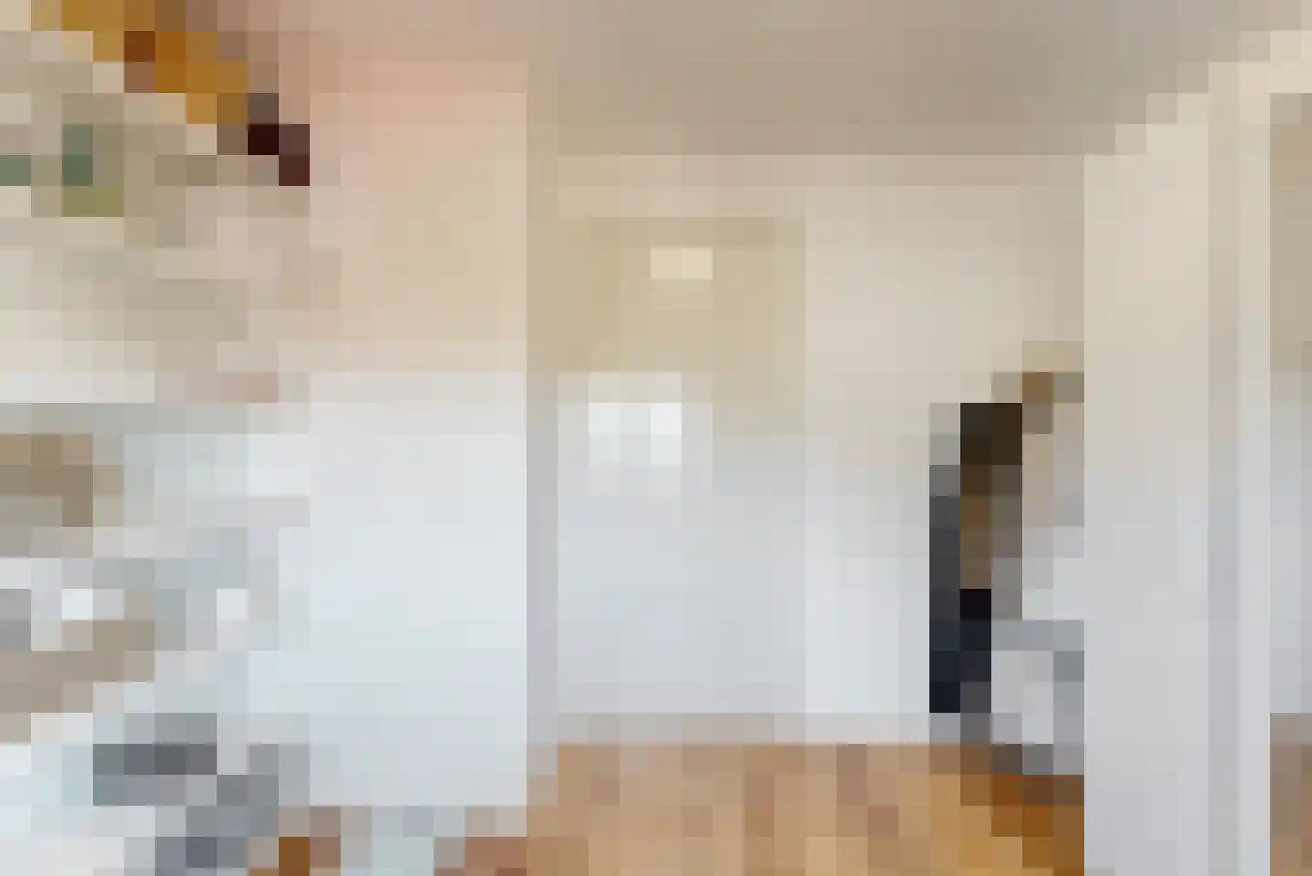 St.Antoniusstraat 8 Vlodrop thumbnail 19