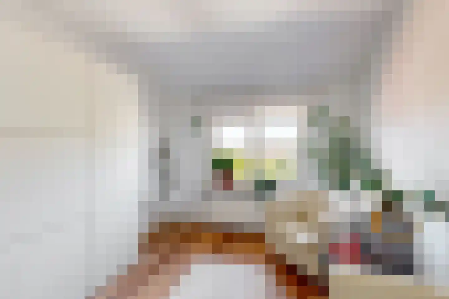 St.Antoniusstraat 8 Vlodrop thumbnail 20