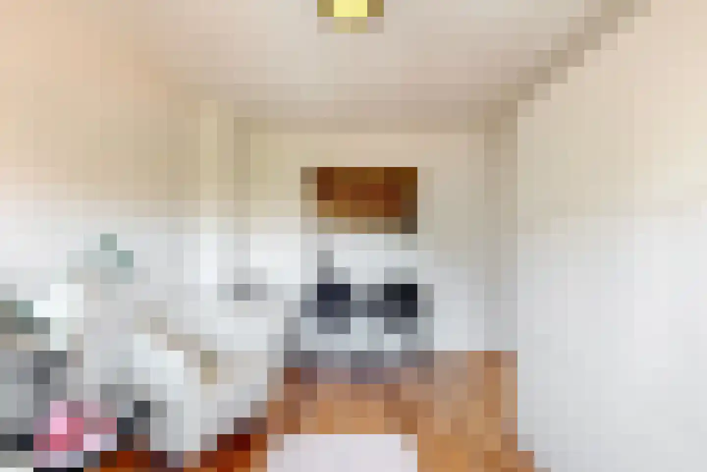 St.Antoniusstraat 8 Vlodrop thumbnail 21