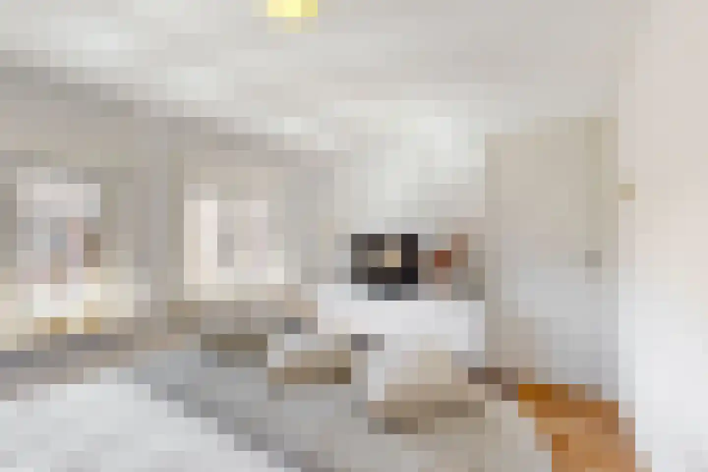 St.Antoniusstraat 8 Vlodrop thumbnail 23