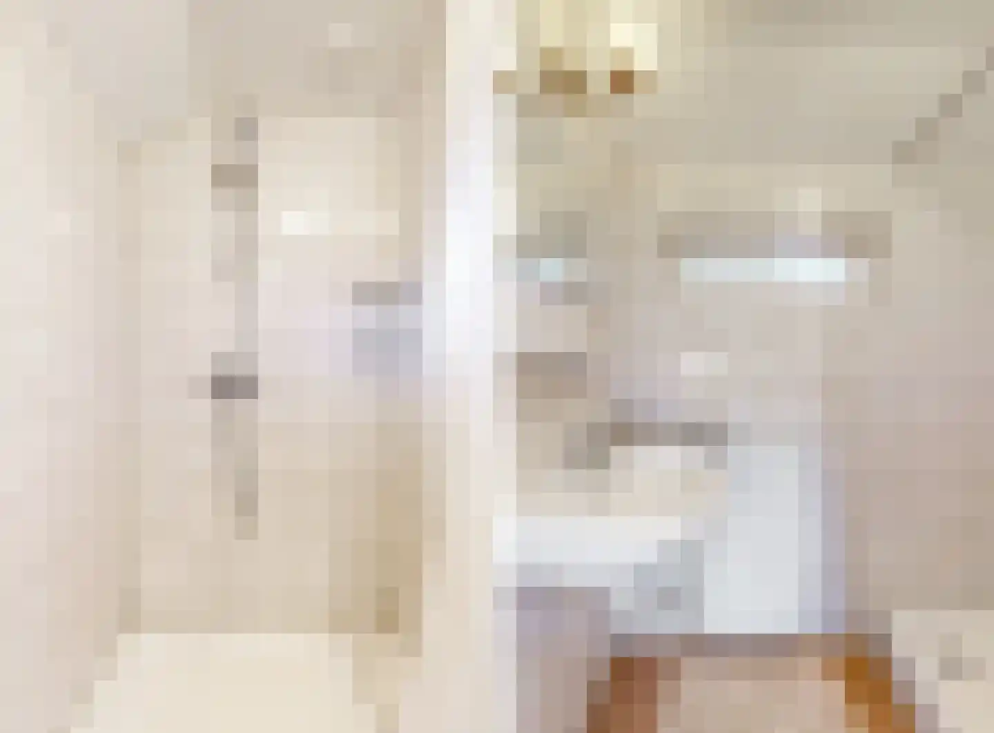 St.Antoniusstraat 8 Vlodrop thumbnail 24