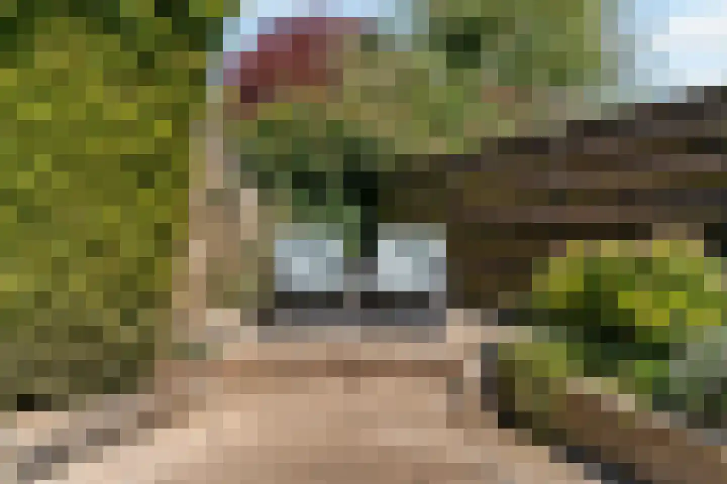 St.Antoniusstraat 8 Vlodrop thumbnail 30
