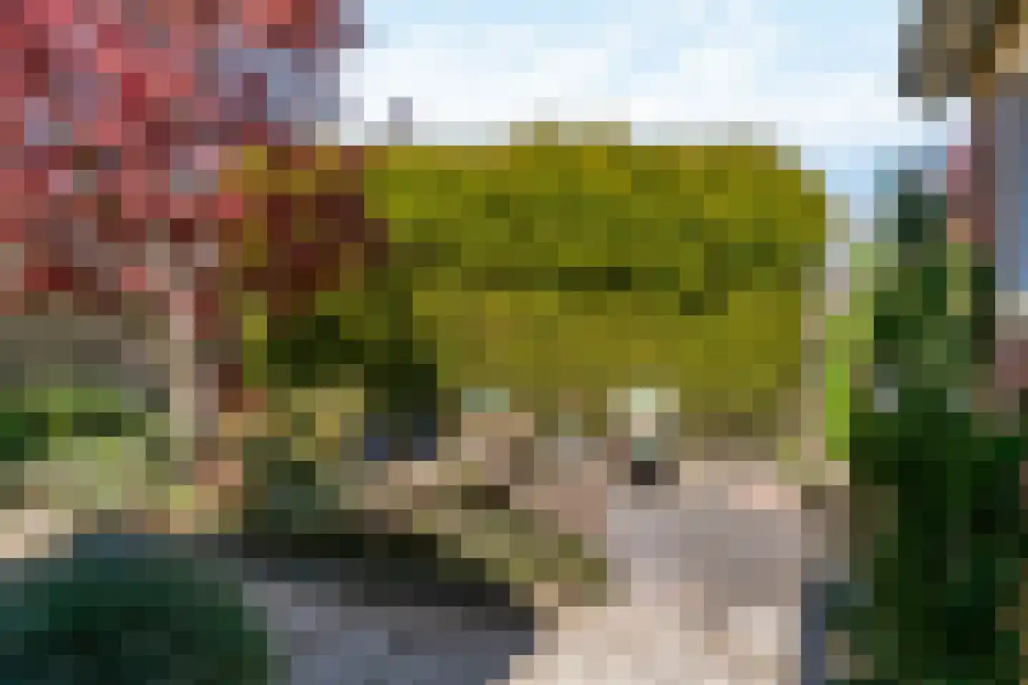St.Antoniusstraat 8 Vlodrop thumbnail 31