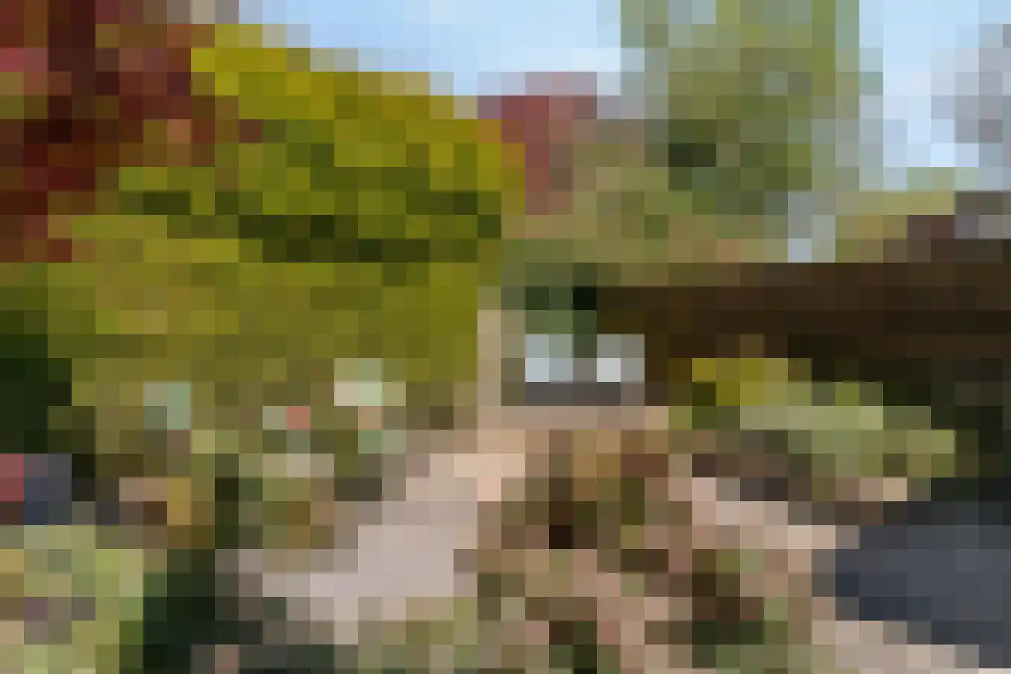 St.Antoniusstraat 8 Vlodrop thumbnail 4