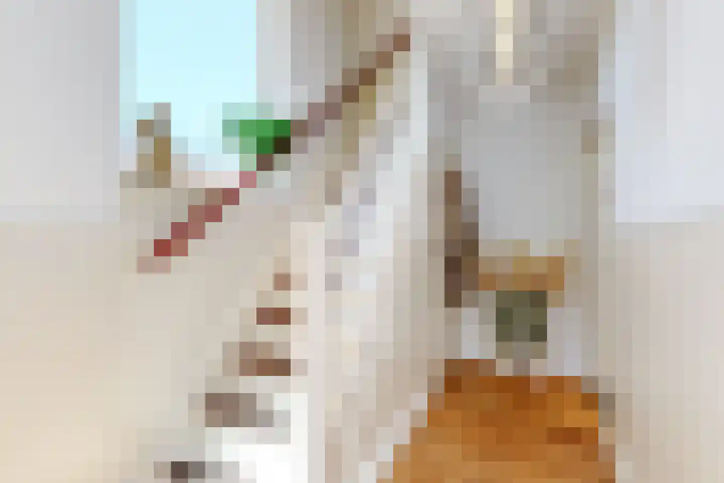 St.Antoniusstraat 8 Vlodrop thumbnail 6