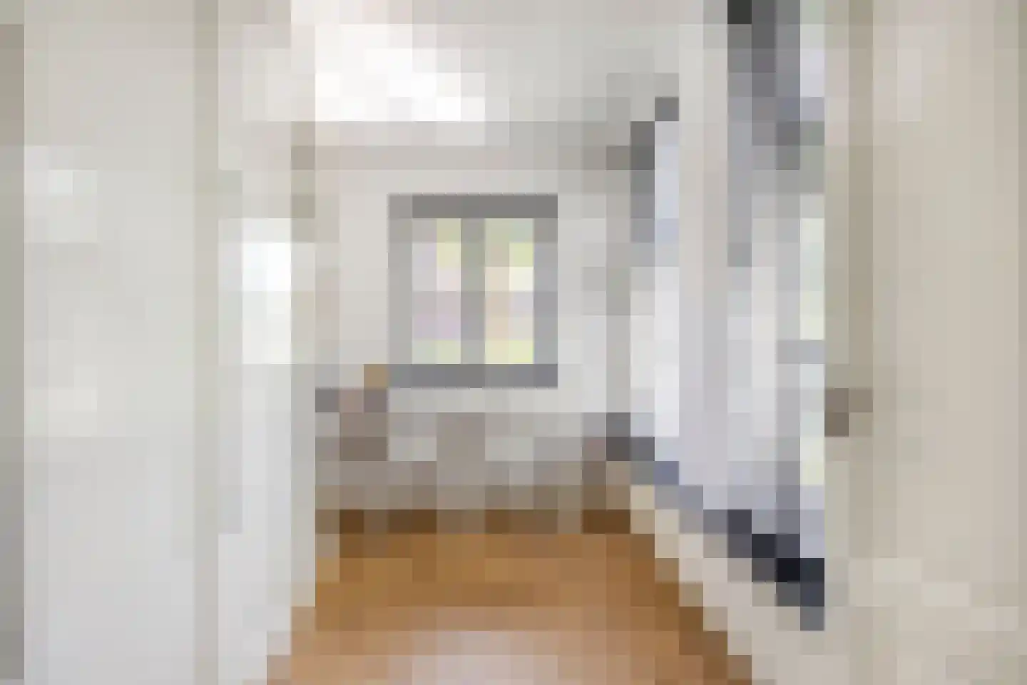 St. Antoniusweg 28 Helmond thumbnail 31