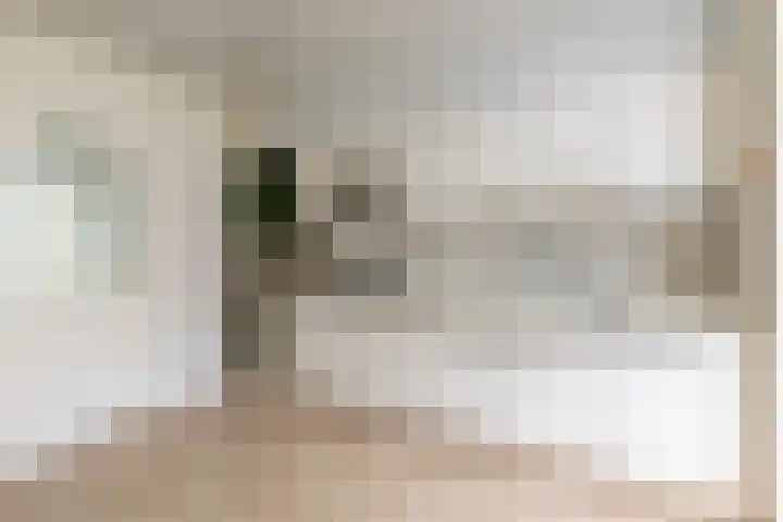 St. Barbarastraat 3 Oirschot thumbnail 13
