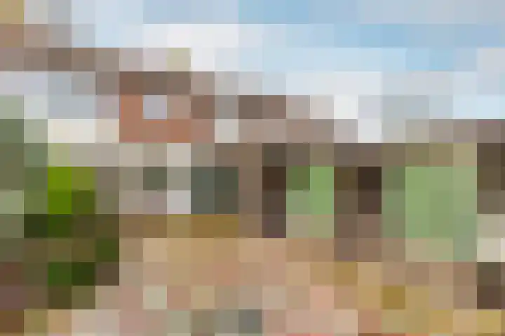 St. Barbarastraat 3 Oirschot thumbnail 33