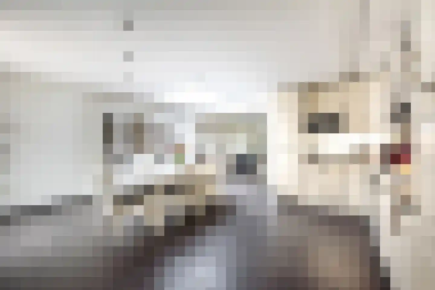 St.Bernadettestraat 10 Kerkrade thumbnail 9
