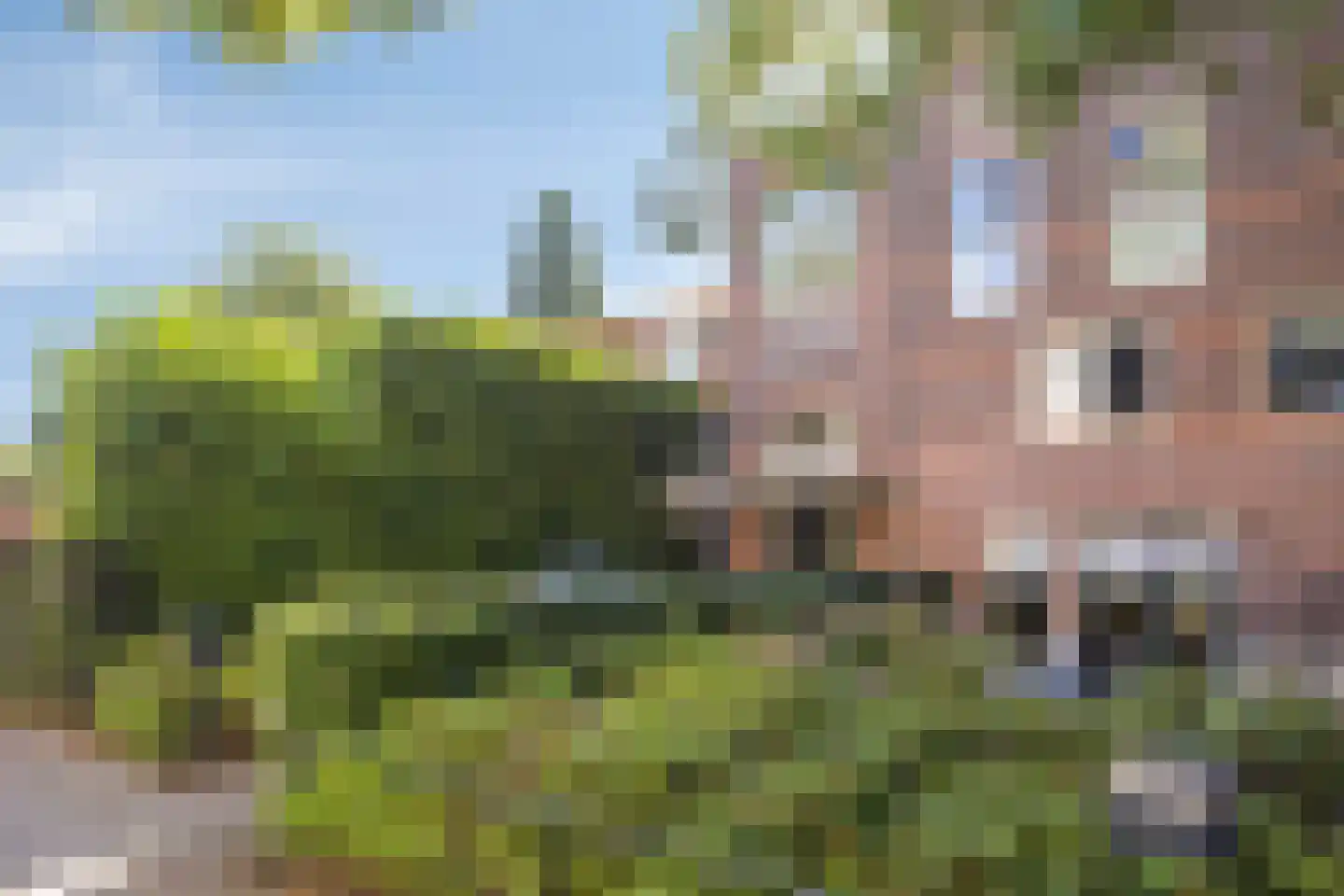 St.Bernulphusstraat 7 A Oosterbeek thumbnail 18