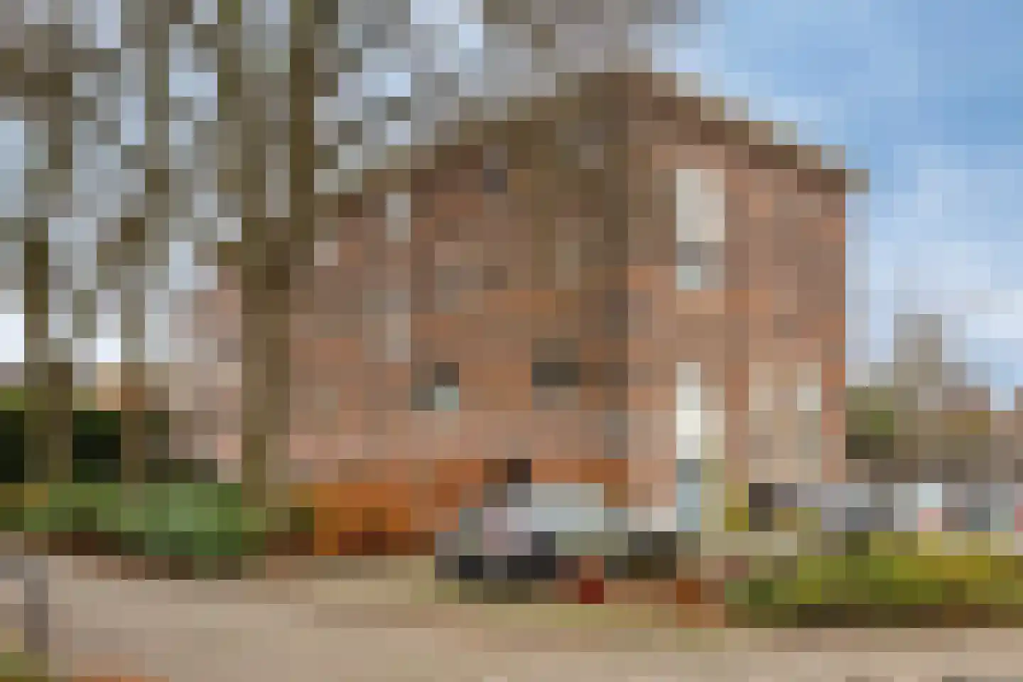 St.Bernulphusstraat 7 A Oosterbeek thumbnail 26