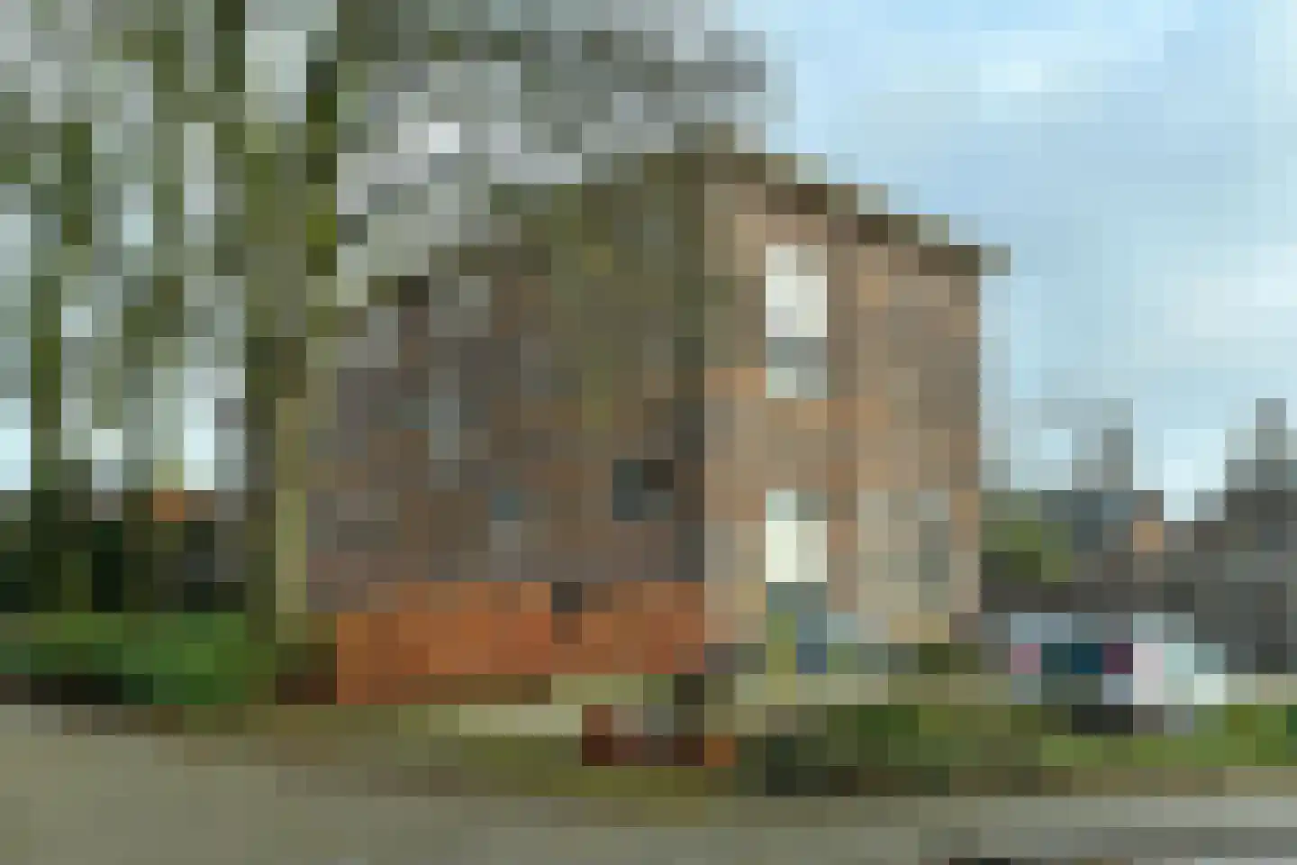 St.Bernulphusstraat 7 G Oosterbeek